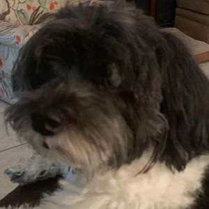 Meet your Posher, Ruth